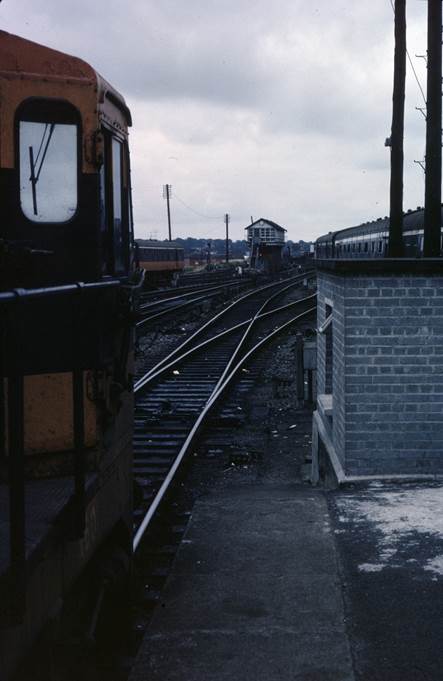 A train on the railway tracks

Description automatically generated